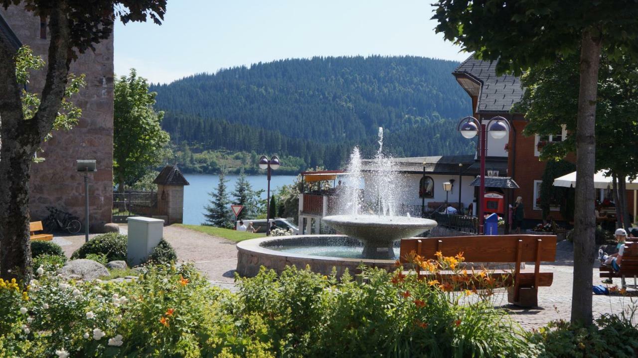 Waldblick Apartamento Schluchsee Exterior foto